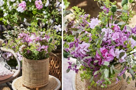 Kolekcia rôznych odrôd fuchsií s rôzne sfarbenými a tvarovanými kvetmi