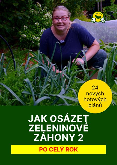 Schéma letného osevného plánu pre uvoľnené záhony po jarnej zelenine