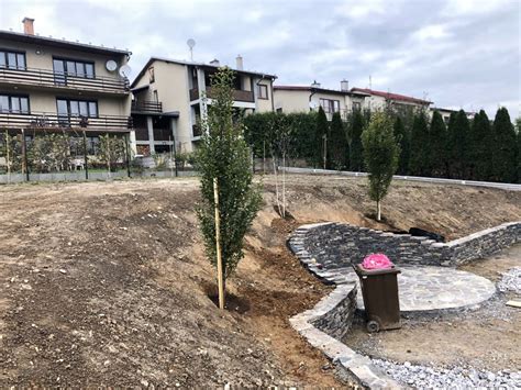 Schéma ideálneho miesta na výsadbu marhule na miernom svahu s juhozápadnou orientáciou