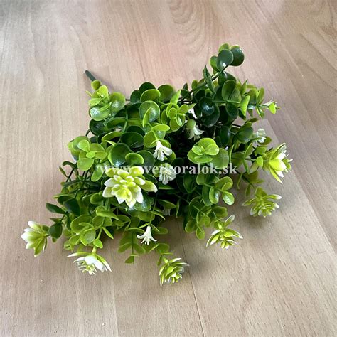 Fotografia čerstvej bazalky s kvietkami pred zberom