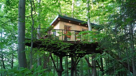 Fotografia úspešne prijatého štepu na strome