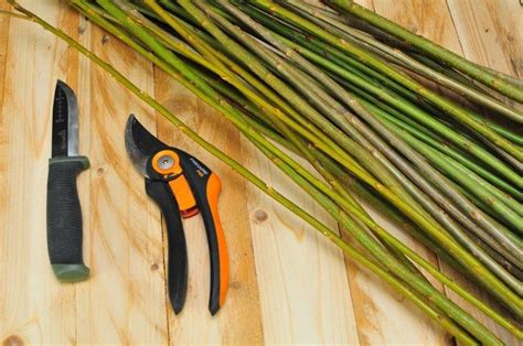 Fotografia zozbieraných vŕbových prútov rôznej hrúbky a dĺžky