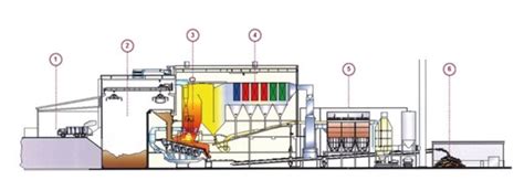 Schéma procesu mineralizácie: od surovej ihličnatej štiepky až po štiepku obalenú minerálnym práškom s vyznačenou zmenou na bunkovej úrovni