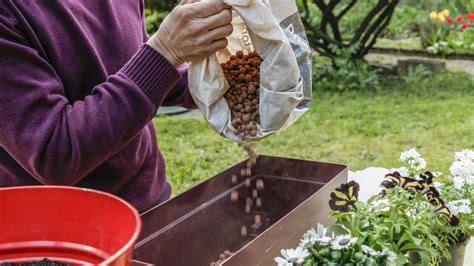 Detail drenážnej vrstvy z keramzitu na dne kvetináča