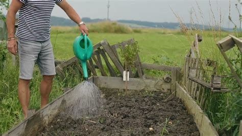 Príprava pôdy v záhrade s pridaním kompostu pre výsadbu cukiet.