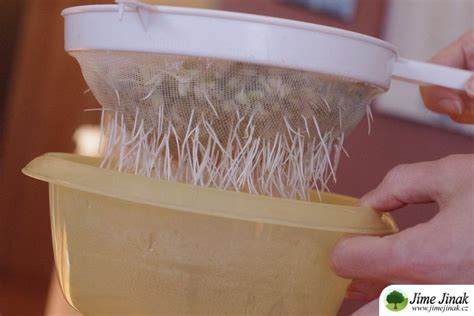 Ilustrácia preplachovania klíčkov v sitku