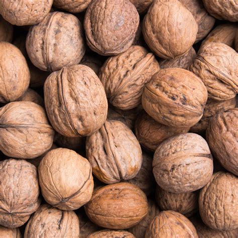 Ilustrácia znázorňujúca rôzne štádiá zrelosti vlašských orechov, od zeleného oplodia po prasknutú škrupinu