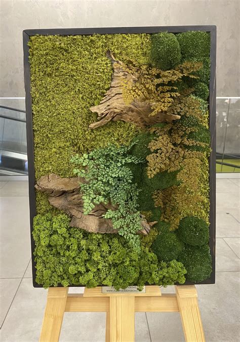 Príklady interiérových dekorácií zo stabilizovaného machu