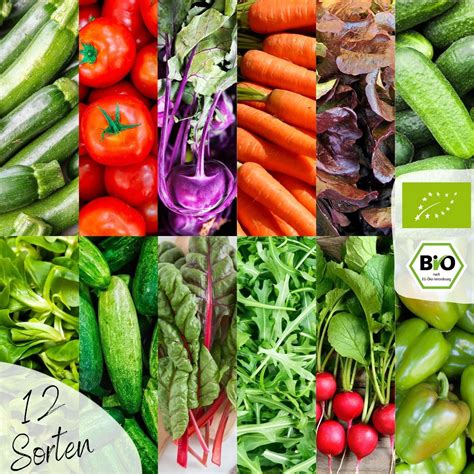 Ilustrácia rôznych druhov zeleniny pestovaných zo semien holandského pôvodu.