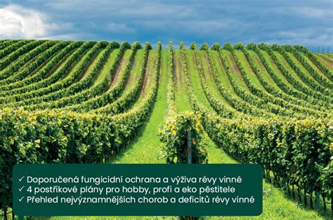 Schéma: plán hnojenia viniča podľa fáz rastu