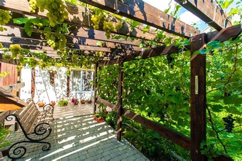 príklady rôznych podporných konštrukcií pre vinič: drôtenka, pergola, mreža