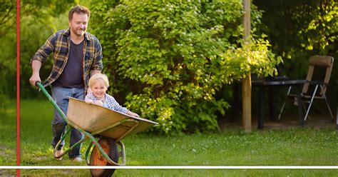 ilustrácia - mladé klíčky mrkvy a petržlenu v záhrade, skorá jar