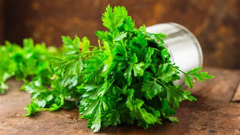 detailný záber na petržlenovú vňať