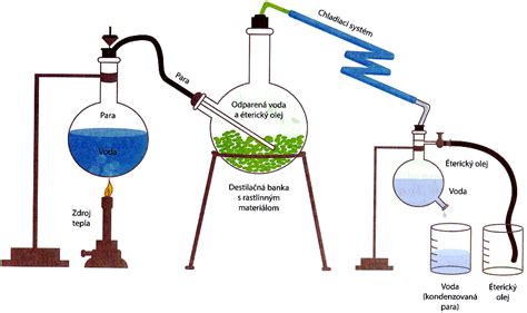Schéma metód získavania esenciálnych olejov (destilácia, lisovanie za studena)