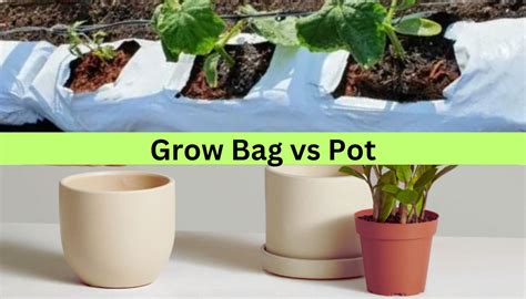 Porovnávacia grafika: Grow bag vs. klasický kvetináč (prierez s koreňmi)