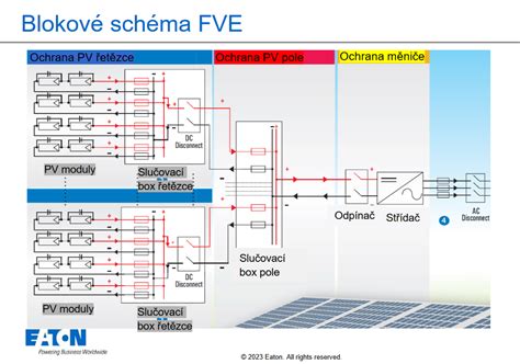Schéma odberu polodrevnatých odrezkov letného orgovánu