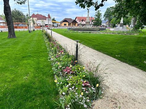 Vizualizácia správnej výsadby mladého pagaštana konského