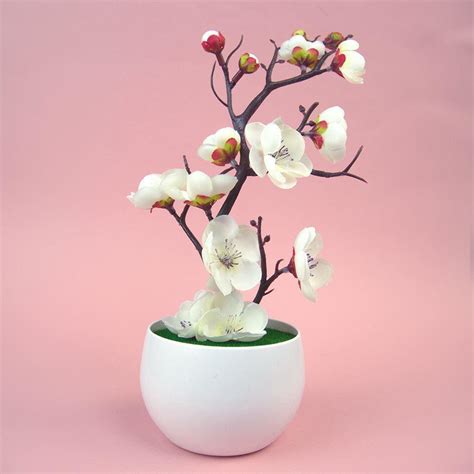 Tematické foto bršlenu japonského v kvetináči