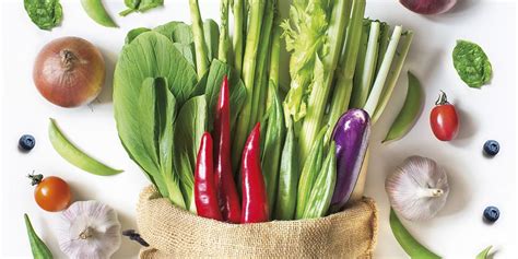 Ilustrácia rôznych druhov trvalkovej listovej zeleniny