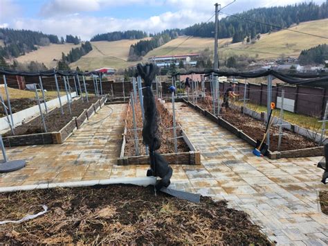 schéma správnej výsadby čučoriedky s drenážou a odizolovaním jamy fóliou