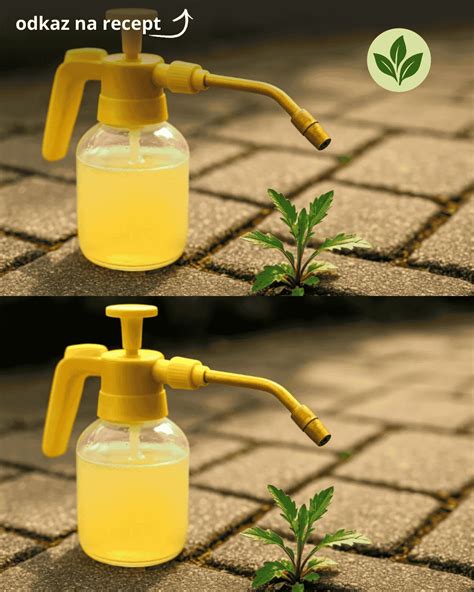 Detailný záber nasypanej sódy bikarbóny alebo soli na burinu v škárach dlažby