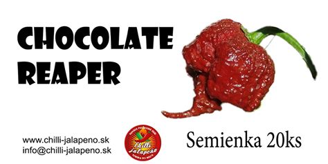 schéma: štádiá rastu chilli papričky od semienka po plod