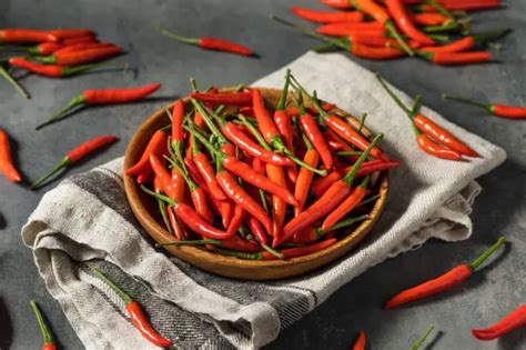 ilustračné foto: človek s rukavicami držiaci chilli papričky