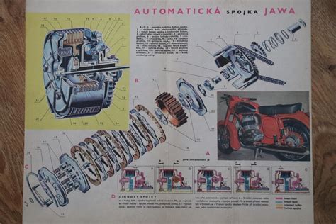 Schéma rezu citrusovníka