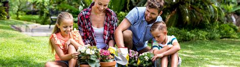 Ilustrácia znázorňujúca usporiadanie záhrady podľa štyroch nebeských zvierat