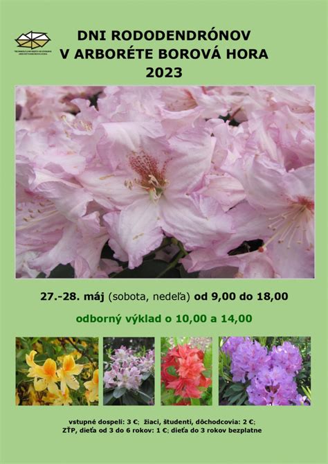 Ukážka kvitnúcich rododendronov v kyslej pôde.