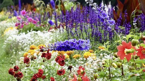 Zmes rôznych rastlín v okrasnej záhrade počas rôznych ročných období.