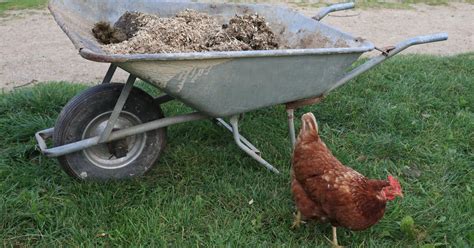 ilustrácia fermentácie slepačieho trusu