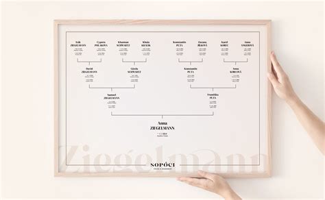 Ilustrácia rodiny ako stromu s rozvetvenými konármi