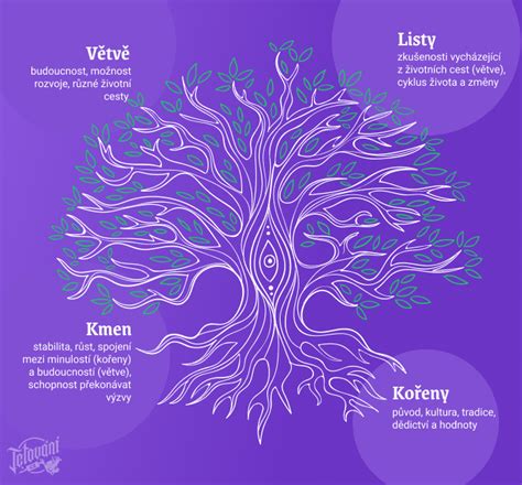 Infografika znázorňujúca rôzne aspekty symboliky Stromu života