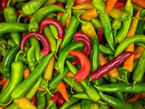Zrelé chilli papričky rôznych farieb a tvarov