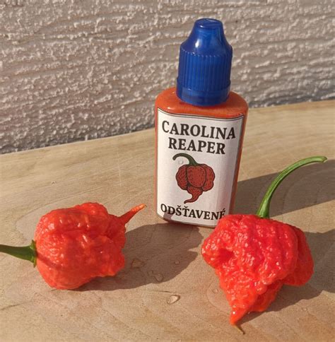 Ilustrácia chilli papričiek pestovaných v kvetináčoch na balkóne