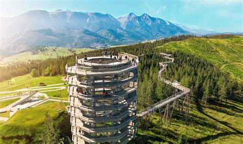 Schéma výsadby srdcovky v tieni pod korunami stromov