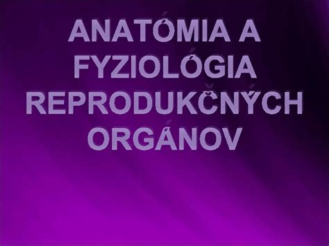 Anatómia ľudských reprodukčných orgánov (mužských a ženských)