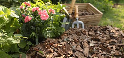 Schéma: Prierez mulčovanej pôdy s vrstvou mulčovacej kôry, netkanou textíliou a pôdou pod ňou.