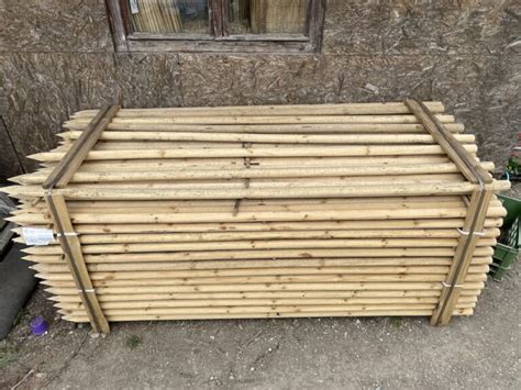 Detailný pohľad na oporný kôl pri mladej ovocnej sadenici.