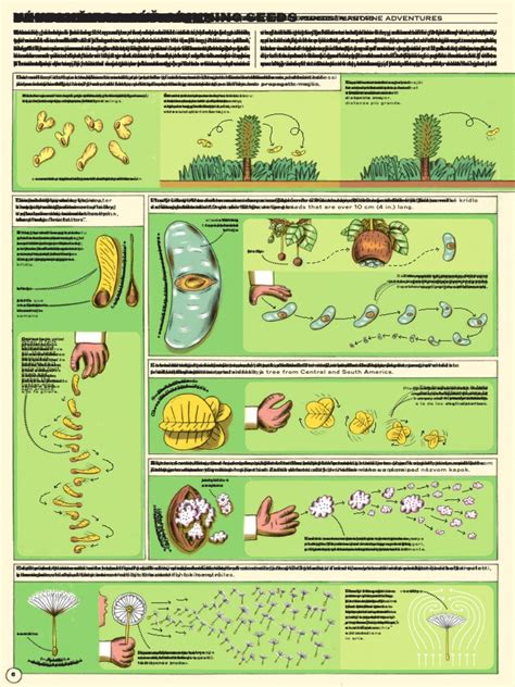Ukážka správneho previazania stromčeka s oporným kolom.