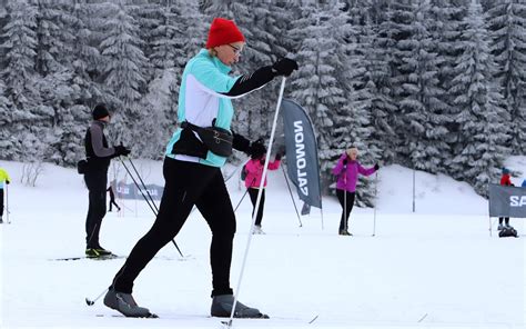 Tematické foto plesnivca alpínskeho v skalke