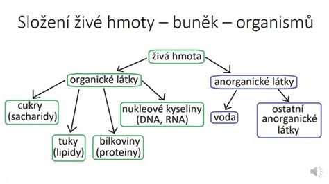Schéma porovnania účinkov organických a syntetických hnojív