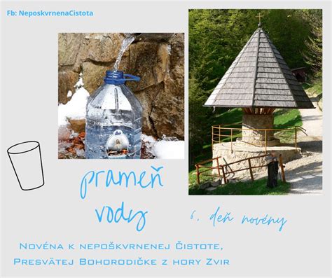 Infografika znázorňujúca symboliku lotosu v budhizme (rast z bahna k čistote)