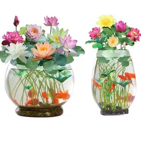 Ilustrácia pôdneho substrátu a umiestnenia lotosu v nádobe