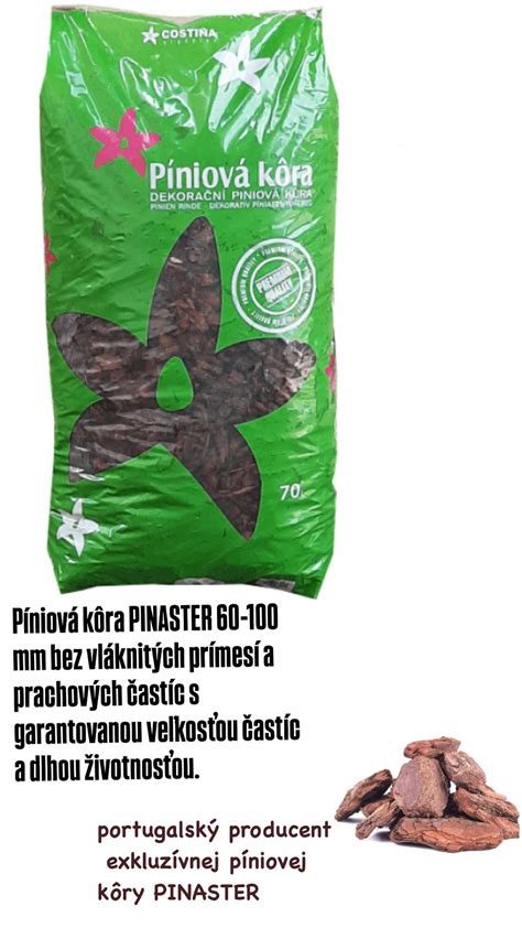 rôzne typy píniovej kôry