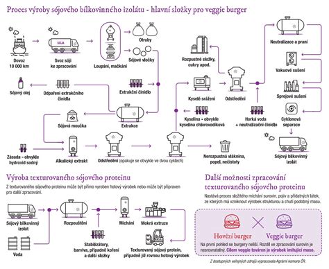 Infografika zobrazujúca proces výroby javorového sirupu