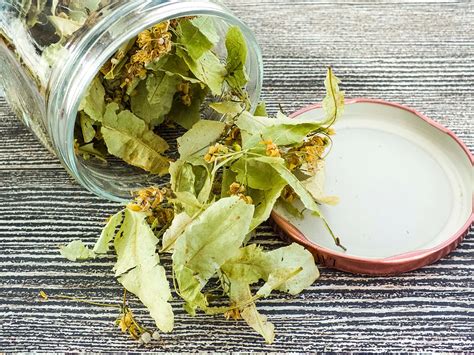 Sušené bylinky materinej dúšky v sklenenom pohári