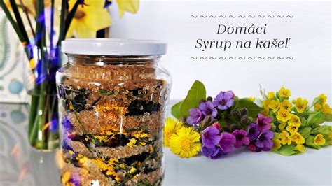 Infografika znázorňujúca proces sušenia a mrazenia byliniek v domácich podmienkach