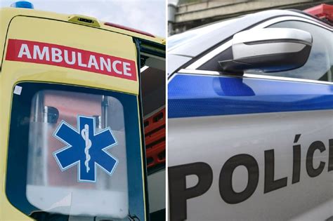 ilustračné foto slivkového sadu